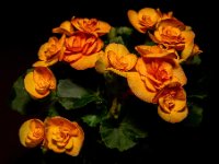 A29A8503-web679x936U100