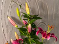 A29A8886-web1269x1080U100