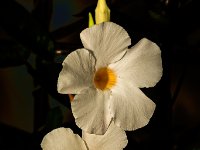 A29A8898-web1620x1080U100