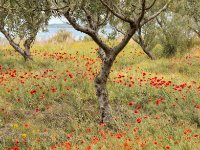 IMG 0748 1-enhanced : Web Sharp: Original ratio