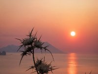 enhanced_panel2_1 (1)