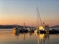 panel2 2-enhanced 1920x1429 U 80 Original ratio