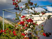 585A0038-Enhanced-NR-2