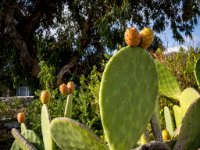 585A0091-Enhanced-NR-2 1