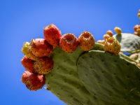 585A0260-Enhanced-NR 1920x1486 U 100 Original ratio : Web Sharp: Original ratio