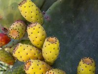 585A0262-Enhanced-NR 1