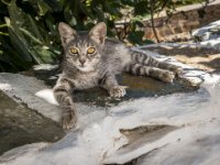 585A0400-Enhanced-NR