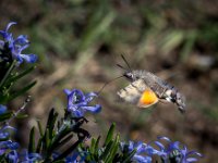 585A1092-Enhanced-NR