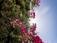 585A1115-Enhanced-NR