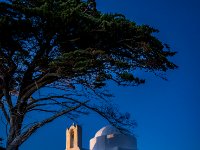 585A2099-Enhanced-NR