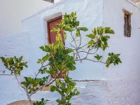 585A9785-Enhanced-NR