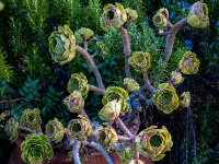 585A9948-Enhanced-NR-2