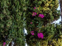 585A9990-Enhanced-NR-2