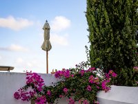 585A9991-Enhanced-NR-2