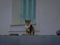 585A9993-Enhanced-NR-2