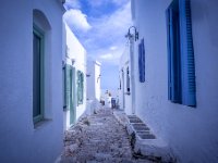 IMG 2339 1500x1000 U 100 Original ratio-3