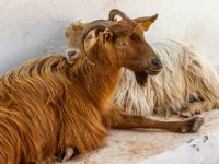  MG 2898 : Web Sharp: Original ratio