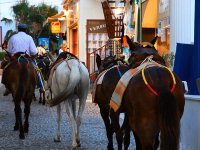 IMG 2815 : Web Sharp: Original ratio