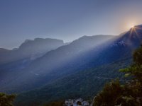 Gamila Sunrise2 copy