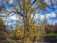 IMG_1954