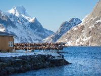 Lofoten Scenery1