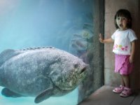 enhanced_Bahamas_Fish016