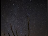 Anza Borrego3