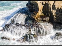 Nature10