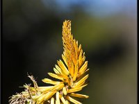 Nature2
