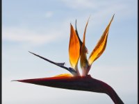 Nature6