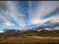 Nature9