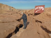 enhanced Antelope D0101