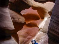 enhanced Antelope D0139