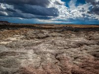 IMG 7496-Enhanced-NR