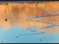 Death Valley78