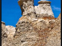 Bisti12