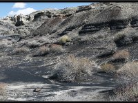 Bisti7