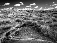 IMG 7925-1 BW