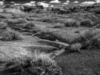 IMG 7926 BW
