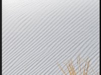 White Sands10