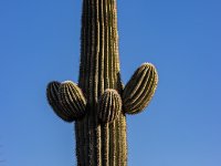 IMG 3256