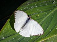 P6A5355 1