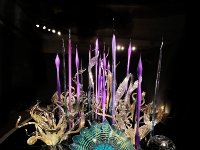 Chihuly4 : Web Sharp: Original ratio