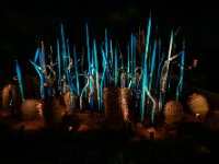 IMG 0743