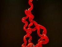 IMG 0758