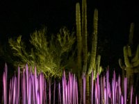 IMG 0832