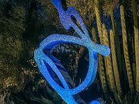IMG 2576
