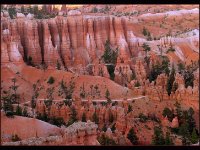 Bryce Canyon11
