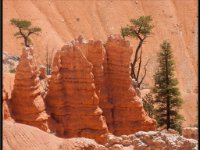 Bryce Canyon16