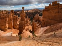 Bryce5 copy